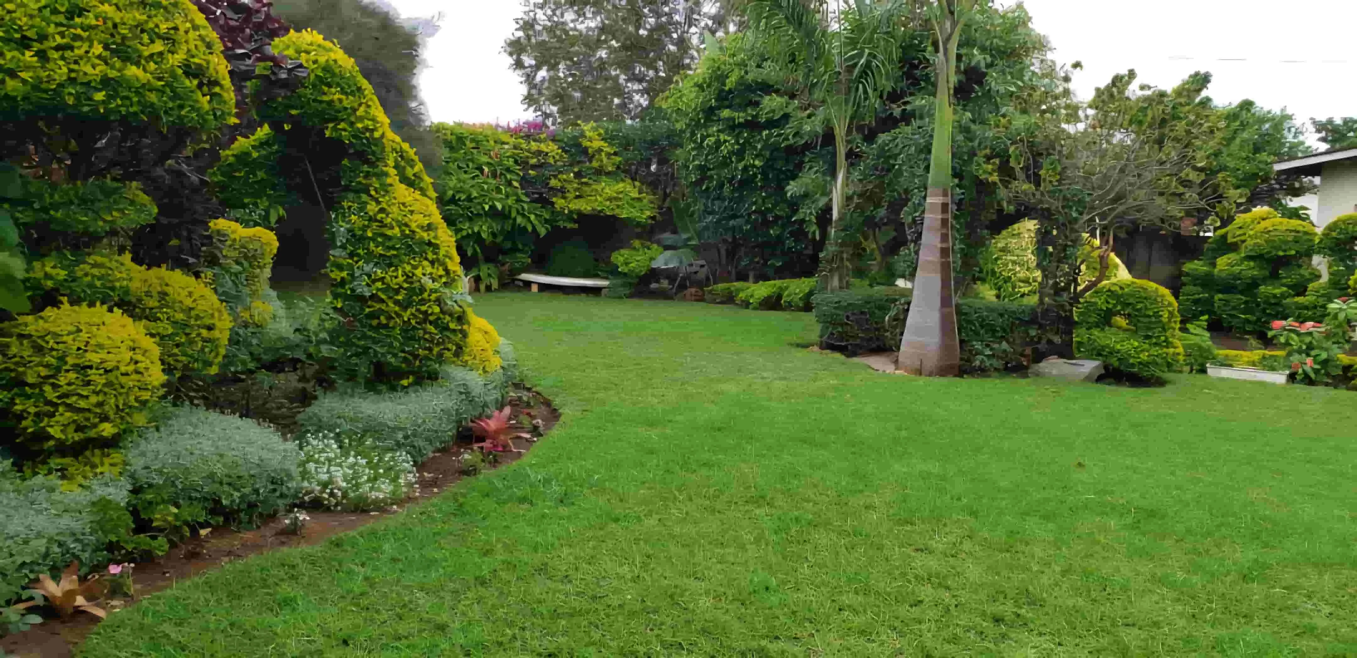 Tenclif Gardens