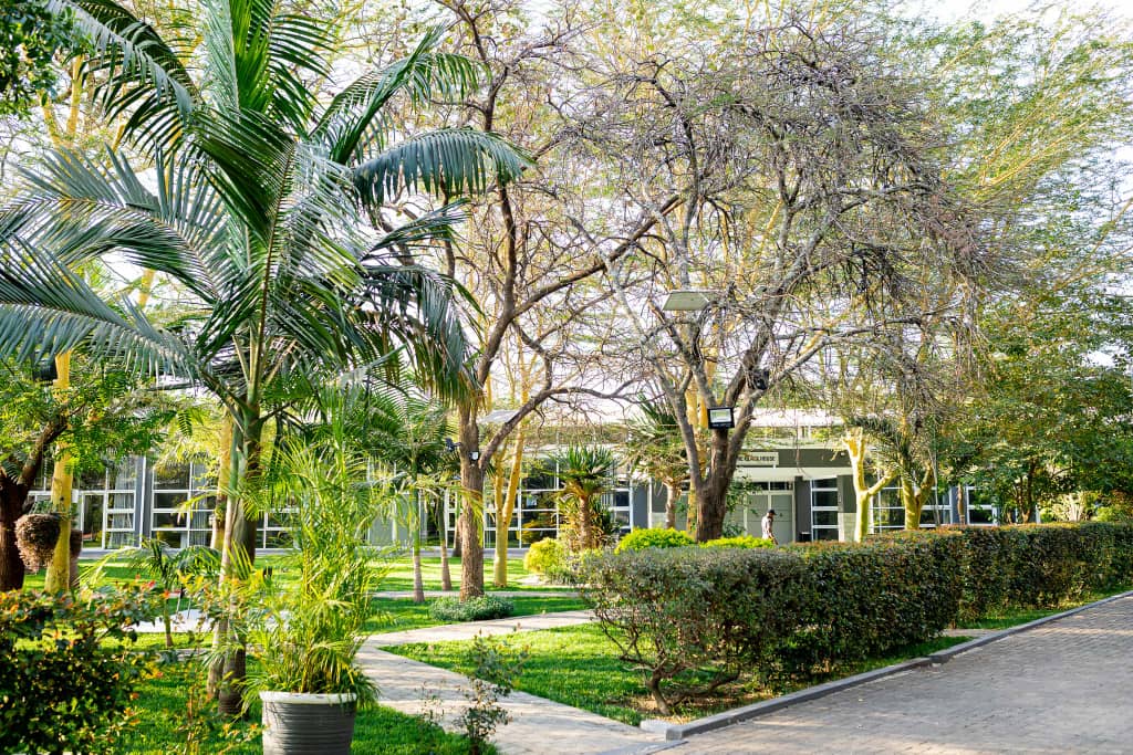 Golden Conifer Functions Venue Gallery Showcase Image